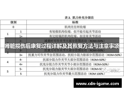 肾脏损伤后康复过程详解及其恢复方法与注意事项 肾脏损伤后康复过程详解及其恢复方法与注意事项