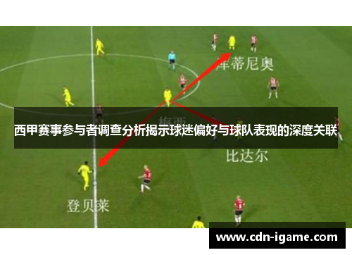 西甲赛事参与者调查分析揭示球迷偏好与球队表现的深度关联