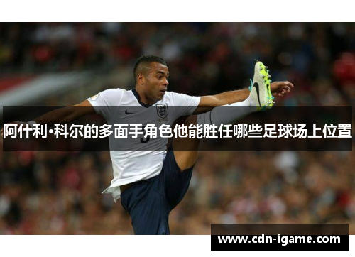 阿什利·科尔的多面手角色他能胜任哪些足球场上位置