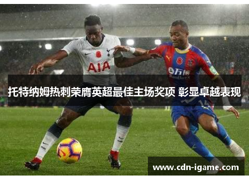 托特纳姆热刺荣膺英超最佳主场奖项 彰显卓越表现